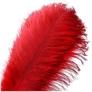 Red Ostrich Feather | Flower Arrangements 20-25 CM Red Ostrich Feather | Flower Arrangements 20-25 CM